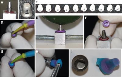 Internal adaptation assessment of implant infrastructures manufactured through five different techniques (heat-press, milling, lost wax, calcinable cylinder, and CAD/Waxx®): an in vitro pilot study